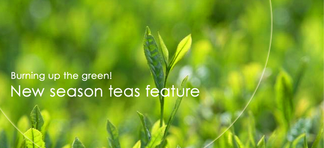 New season teas feature