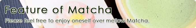 Feature of Matcha