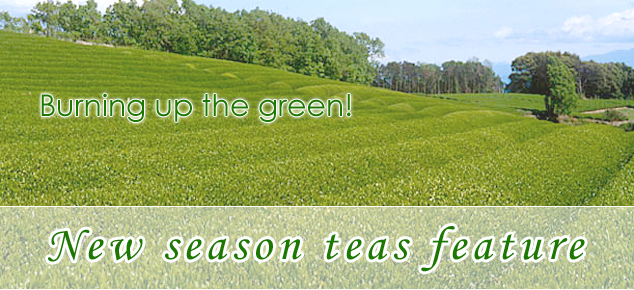 new season tea feature