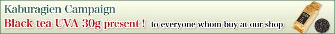 Kaburagien Campaign