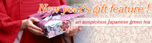 New year's gift feature!