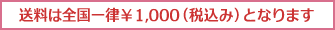 ͑Sꗥ1,000ƂȂ܂