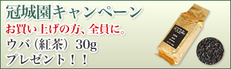 ���鉀�L�����y�[��