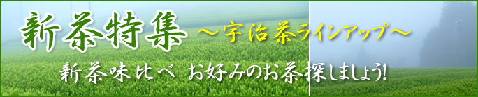�{�̎|�݂̐V�����W